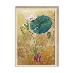 Carte de vœux Ohh Deer - Nénuphar
