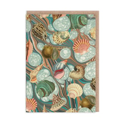 Carte de vœux Ohh Deer - Coquillages