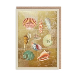 Carte de vœux Ohh Deer - Collection de coquillages