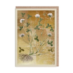 Carte de vœux Ohh Deer - Trèfles