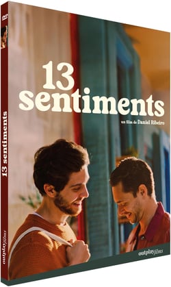 13 sentiments