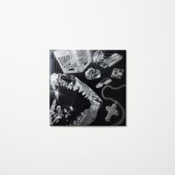Lex XX - édition 180g