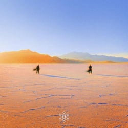 Insight Out - édition colorée
