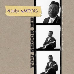 You Shook Me - The Chess Masters, Vol. 3 - 1958 to 1963