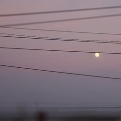Long Slow Distance (Import)