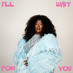 I'll Wait For You (Import)