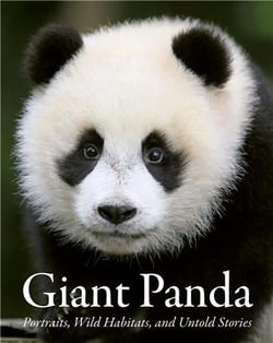 Giant panda /anglais