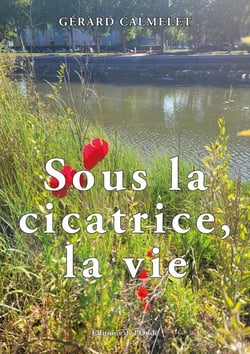 Sous la cicatrice, la vie