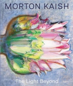 Morton kaish the light beyond /anglais
