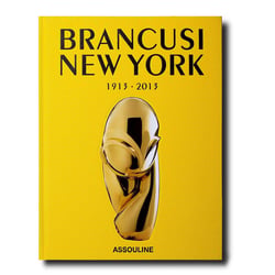 Brancusi new york - 1913-2013