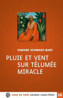 Pluie et vent sur Télumée Miracle