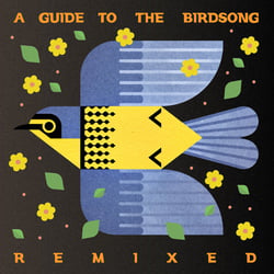 A Guide To The Birdson (Import)