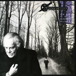 Into The Mirror Black / Edition Limitee Couleur Violet (Import)