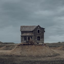 The Precariat - Vinyle