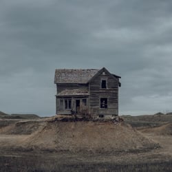The Precariat - CD