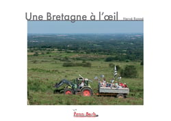 Une bretagne a l'oeil