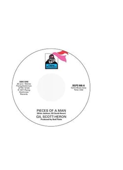 Pieces Of A Man - I Think I'll Call It Morning - Vinyle