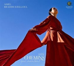 Les chemins qui montent