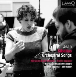 Orchestral Songs - CD