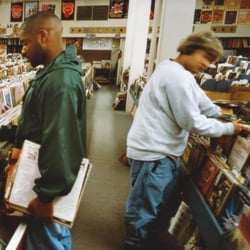 Endtroducing..... - Vinyle