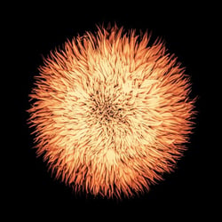 Cosmogonia - Vinyle