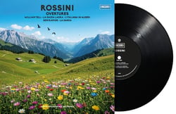 Overtures - Vinyle