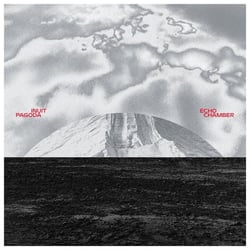 Echo Chamber - Vinyle