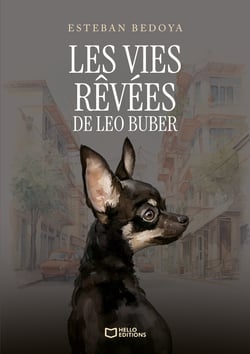 Les vies rêvées de Leo Buber