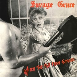 After The Fall From Grace - CD