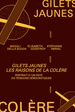 Gilets jaunes, les raisons de la colère