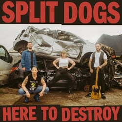 Here To Destroy - édition colorée - Vinyle