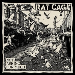 Not Asking for Much - Vinyle