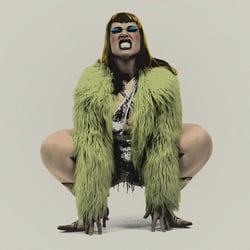Nice N' Rough - CD