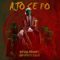 Ajo Se Po - Vinyle