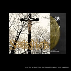 Fallen - édition colorée - Vinyle