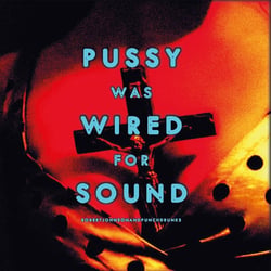 Pussy Was Wired For Sound / Edition Limitee Couleur Orange