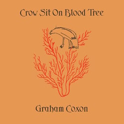 Crow Sit On Blood Tree