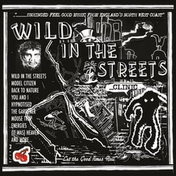Wild In The Streets - Vinyle