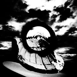 Echos Of Unfortunate Times - Vinyle