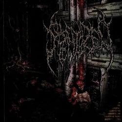 Mangled Biomechanical Amalgamations - CD
