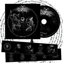 Ruin - CD