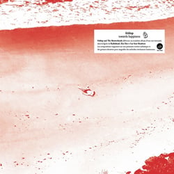 Towards Happiness - Vinyle