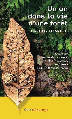 Un an dans la vie d'une forêt