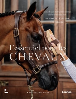 L'essentiel pour les chevaux : Conseils des meilleures écuries professionnelles sur les soins et la gestion des chevaux