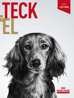 Le Teckel