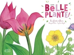 Une belle plante ! - La vie des plantes à fleurs