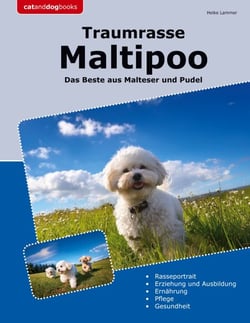 Traumrasse Maltipoo - Das Beste aus Malteser und Pudel