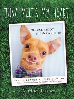 Tuna Melts My Heart - The Underdog with the Overbite
