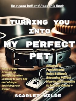 Turning You Into My Perfect Pet