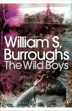 The Wild Boys - A Book of the Dead